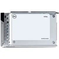 Dell - SSD - Data Centre Read Intensive - 960 GB - with carrier - U.2 PCIe 4.0 (NVMe)