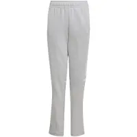 Adidas Squadra 25 Sportsbukser