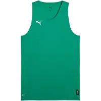 Puma Funktionsskjorte 'Teamjaws Starter' grøn / hvid