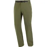 Salomon - Vandretøj - Wayfarer Pants 2.0 M Grape Leaf til UnisexSoftshell - Størrelse L - Grøn