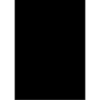 Folia 50x70cm 300g/m², 300 g/m², Sort, 10 ark, 500 mm, 700 mm