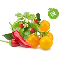 Click and Grow Click & Grow Plant Pod Fruit & Veggie Mix 9pcs