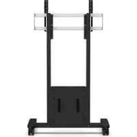 SMS Func Mobile 120 kg Fra 46" 200 x 100 mm