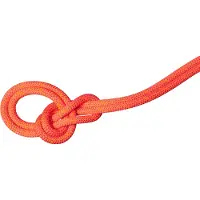 Mammut 9.8 Mm Crag Dry 70 M Reb
