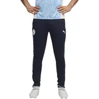 Puma Manchester City Fc 25/26 Træning Bukser