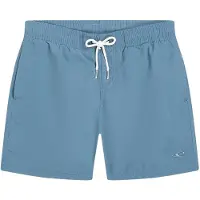 O'Neill Vert Badeshorts