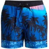 Quiksilver Everyday Printed Volley 15´´ Badeshorts