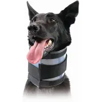 Kvp Bite Free Hundehalsbånd