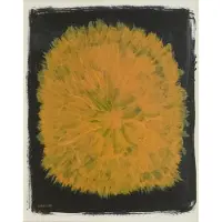 Fine Little Day Dandelion plakat 40x50 cm Gul/Sort