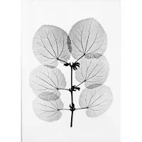 Fine Little Day "Katsura" plakat 70x100 cm