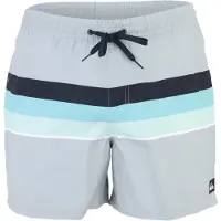 Quiksilver Badeshorts 'EVERYDAY VOLLEY' lyseblå / lysegrå / lysegrøn / sort