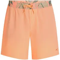 O'Neill Badeshorts petroleum / pastelgrøn / mørkegrøn / abrikos