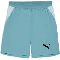 Puma Individual Lightspeed Ultimate Woven Football Shorts Men, Sports, Baltic Sea Blue/Black, M