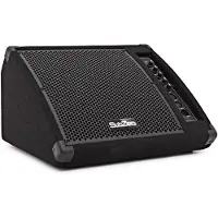 SubZero 200W 10" aktiv gulv-monitor