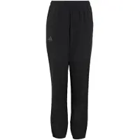 Adidas Terrex Multi Bukser