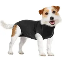 Suitical International B.V. Suitical Recovery Suit Hund Plus - Sort - S Plus