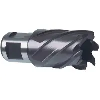 RUKO Hss Tiain-futura Weldon Ø 50 Mm Hulbor