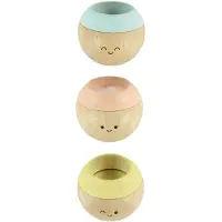 PlanToys - Sansepastell (5258) Assorteret farve/model