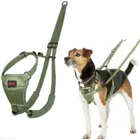 Company of animals No Pull Harness - Forest Green - S