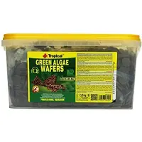 Tropical GREEN ALGAE WAFERS spand 5 l
