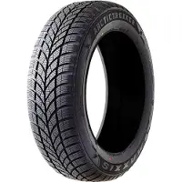 Maxxis WP-05 Arctictrekker