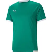 Puma Funktionsskjorte 'TeamLIGA' smaragd / hvid