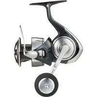 Daiwa Certate G 24 Sw Spindende Fiskehjul