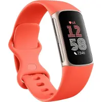 Fitbit Charge 6 - Champagne-guldaluminium - aktivitetssporer med uendelighedsbånd - silikone - koral - Bluetooth, NFC