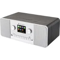 GoGen IR 257 BTDAB, Internet, Digital, DAB+, FM, 87,5 - 108 MHz, 174.928 - 239.2 MHz, 10 W