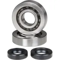 RMS Beauty Piaggio 50cc 100200310 Krumtapakslens Oliestempler
