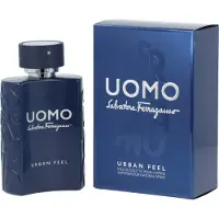 Salvatore Ferragamo Uomo Urban Feel Eau de toilette 100 ml