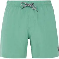 Protest Davey Badeshorts