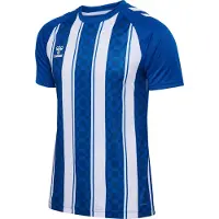 Hummel Funktionsskjorte 'Match' gul / sort / hvid