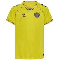 Hummel Danmark Målmandstrøje 2026/27 Børn - , størrelse 152 cm