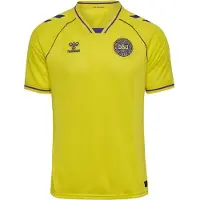 Hummel Danmark Målmandstrøje 2026/27 - , størrelse X-Large