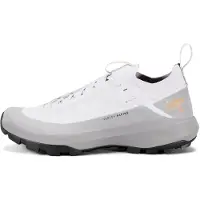 Arc'teryx - Vandresko herre - Vertex Alpine GTX M Solitude Void til Unisex - Størrelse 45 1/3 - Grå