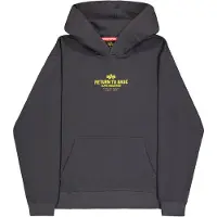 Alpha industries Sweatshirt 'Return To Base' gul / mørkegrå