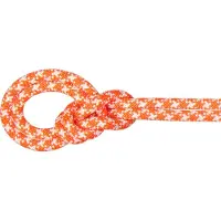 Mammut Crag Classic 9.5 Mm Reb