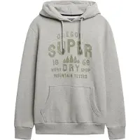 Superdry Sweatshirt grå / grøn