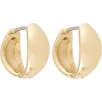 Fossil Øreringe 'ELLIS' guld