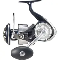Daiwa Certate Sw G 2021 Spindende Fiskehjul