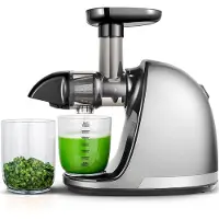 Amzchef Slowjuicer 1501-GA (grå)