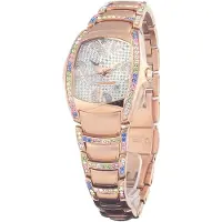 Chronotech Ct7896ss-73m Dameur