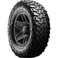 Cooper Evolution MTT owl