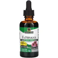 Natures Answer , Echinacea Rod, Fluid Ekstrakt, Alkoholfri, 1,000 mg, 2 fl oz (60 ml)