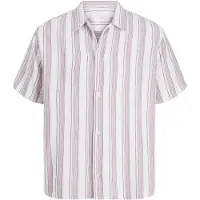 Jack & Jones Skjorte 'JORNantucket' mørkerød / hvid