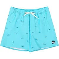Quiksilver - Stretch Printed Volley 16 Aqua Spaced Out til UnisexUld - Størrelse L - Blå