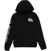 Quiksilver Omni Logo Hættetrøje