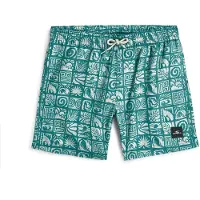 O'Neill Print Badeshorts