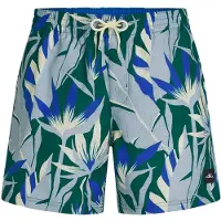 O'Neill Boardshorts chamois / royalblå / dueblå / grøn